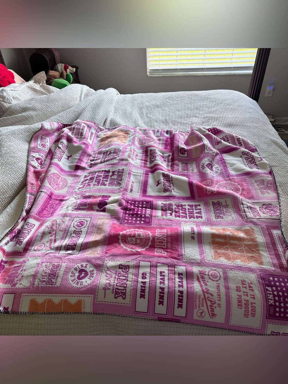 Victoria’s Secret PINK patchwork blanket